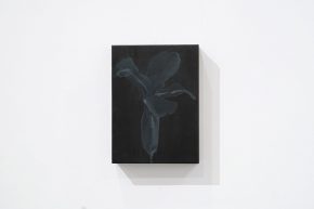 21. Aleksandra Veljović, Outline