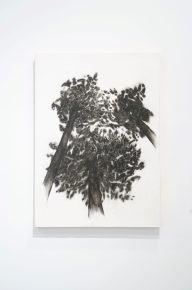 25. Olga Stanojević, Somewhere out there or right here