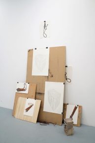 16. Jovan Šešum, Work in Progress