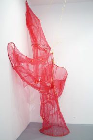 21. Vesela Rajković, Net