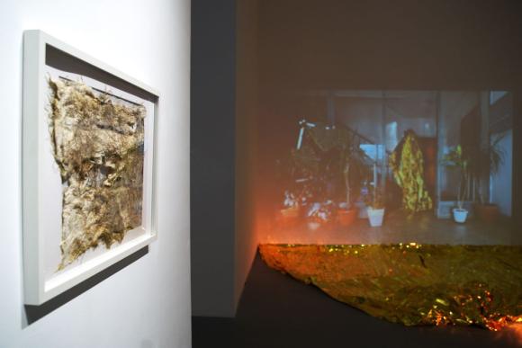 8. U voštanoj sobi proliveno mleko biće žute boje, Zorana Milićević