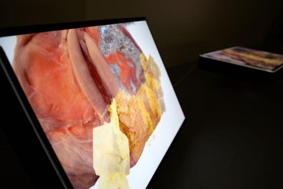 6. U voštanoj sobi proliveno mleko biće žute boje, Zorana Milićević