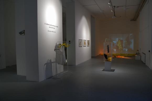 1. U voštanoj sobi proliveno mleko biće žute boje, Zorana Milićević