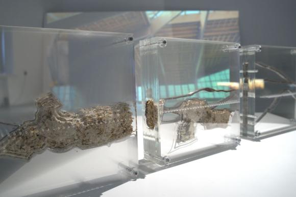 4. U voštanoj sobi proliveno mleko biće žute boje, Zorana Milićević