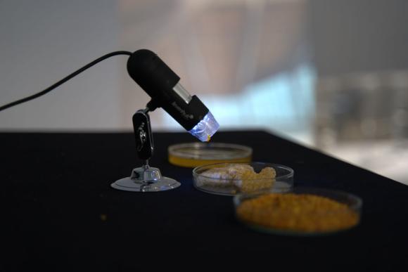 3. U voštanoj sobi proliveno mleko biće žute boje, Zorana Milićević