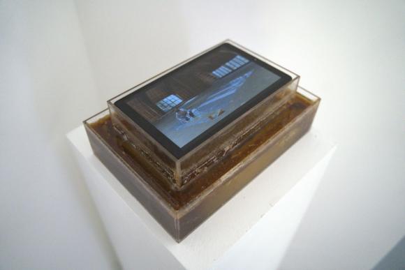 5. U voštanoj sobi proliveno mleko biće žute boje, Zorana Milićević