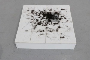 6. Masterpieces II, Vanja Rebić, Black hair of mine, ceramic tiles, dog’s hair, 60 x 60 cm  
