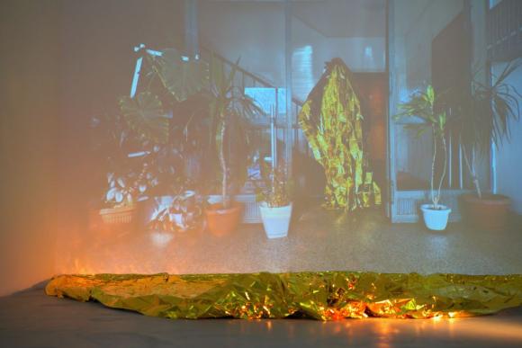 7. U voštanoj sobi proliveno mleko biće žute boje, Zorana Milićević