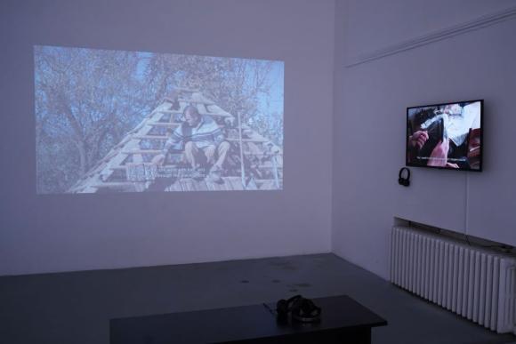 12. (slo)žena priča, Jelena Prljević