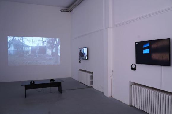 13. (slo)žena priča, Jelena Prljević