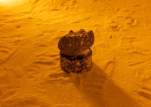 7. Below the Salt, Lin Gerkman